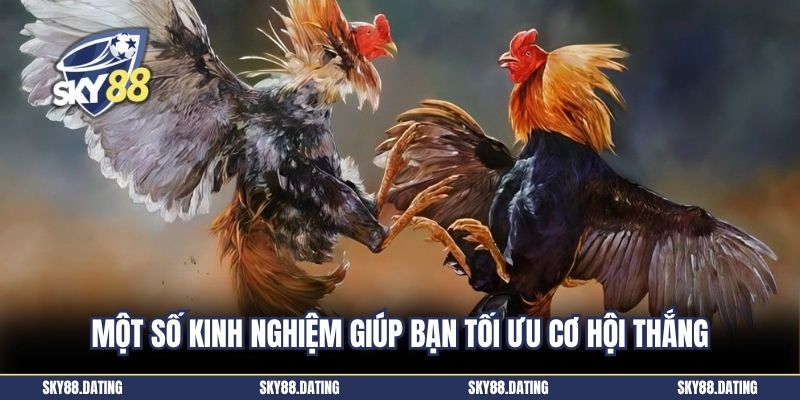 Một số kinh nghiệm giúp bạn tối ưu cơ hội thắng